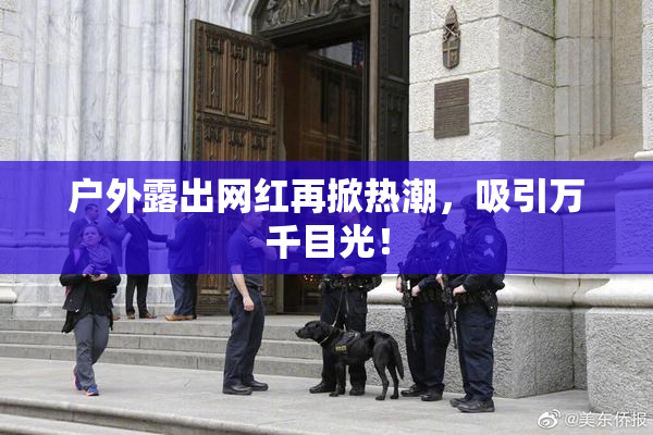 户外露出网红再掀热潮，吸引万千目光！