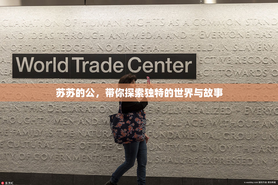 苏苏的公，带你探索独特的世界与故事