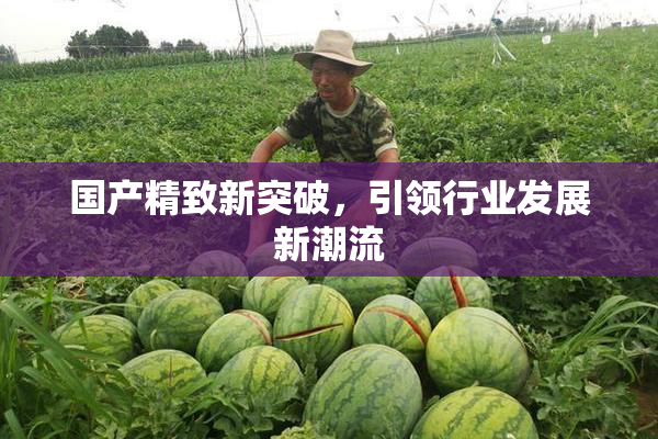 国产精致新突破，引领行业发展新潮流