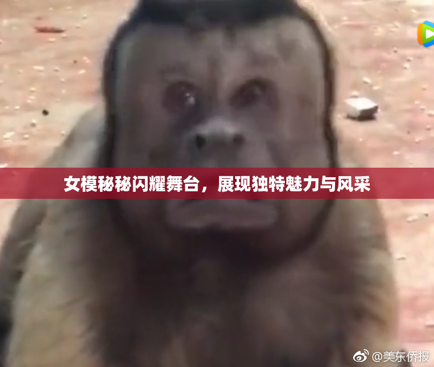 女模秘秘闪耀舞台，展现独特魅力与风采