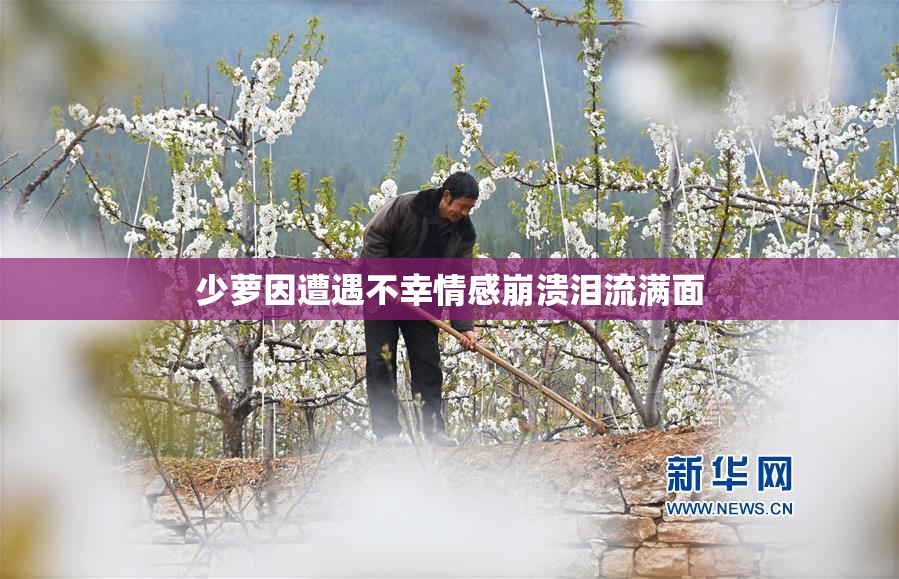 少萝因遭遇不幸情感崩溃泪流满面