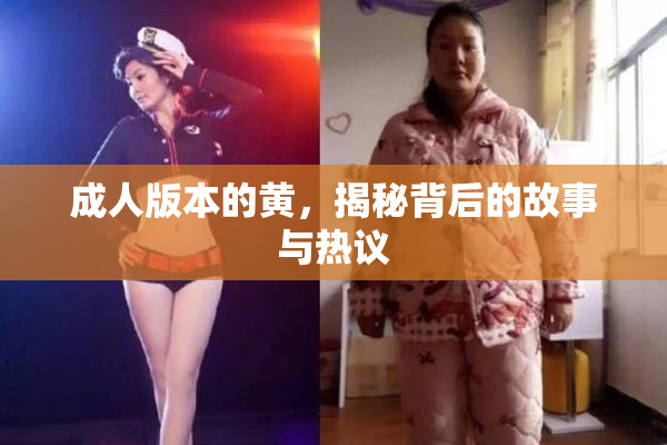 成人版本的黄，揭秘背后的故事与热议