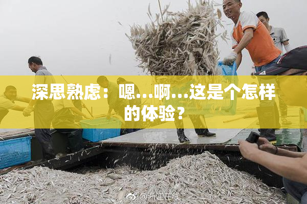 深思熟虑：嗯…啊…这是个怎样的体验？