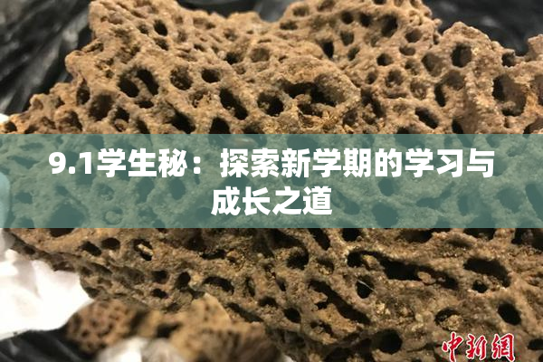 9.1学生秘：探索新学期的学习与成长之道