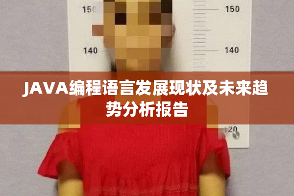 JAVA编程语言发展现状及未来趋势分析报告