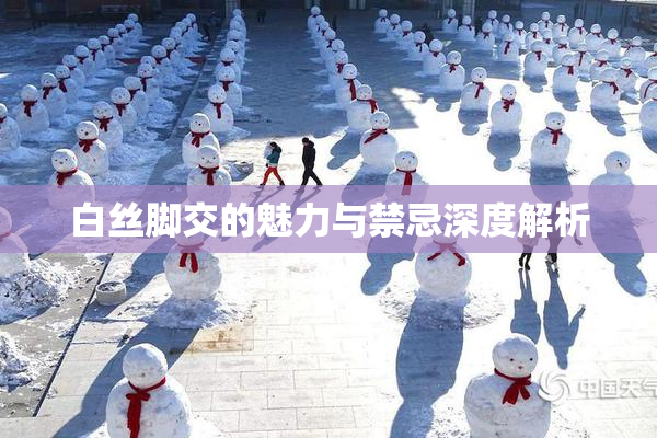 白丝脚交的魅力与禁忌深度解析