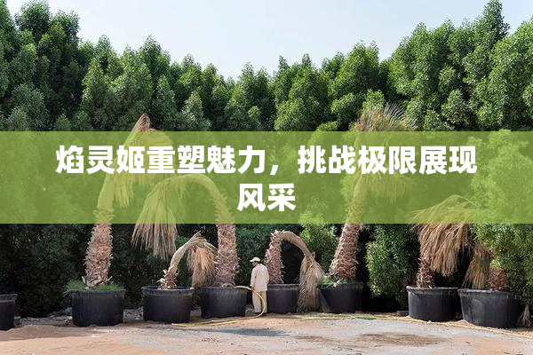焰灵姬重塑魅力，挑战极限展现风采