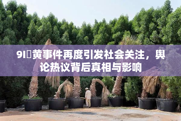 9I婬黄事件再度引发社会关注，舆论热议背后真相与影响