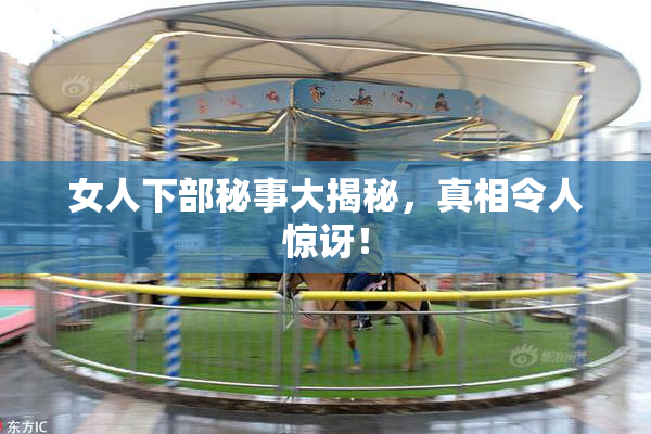 女人下部秘事大揭秘，真相令人惊讶！