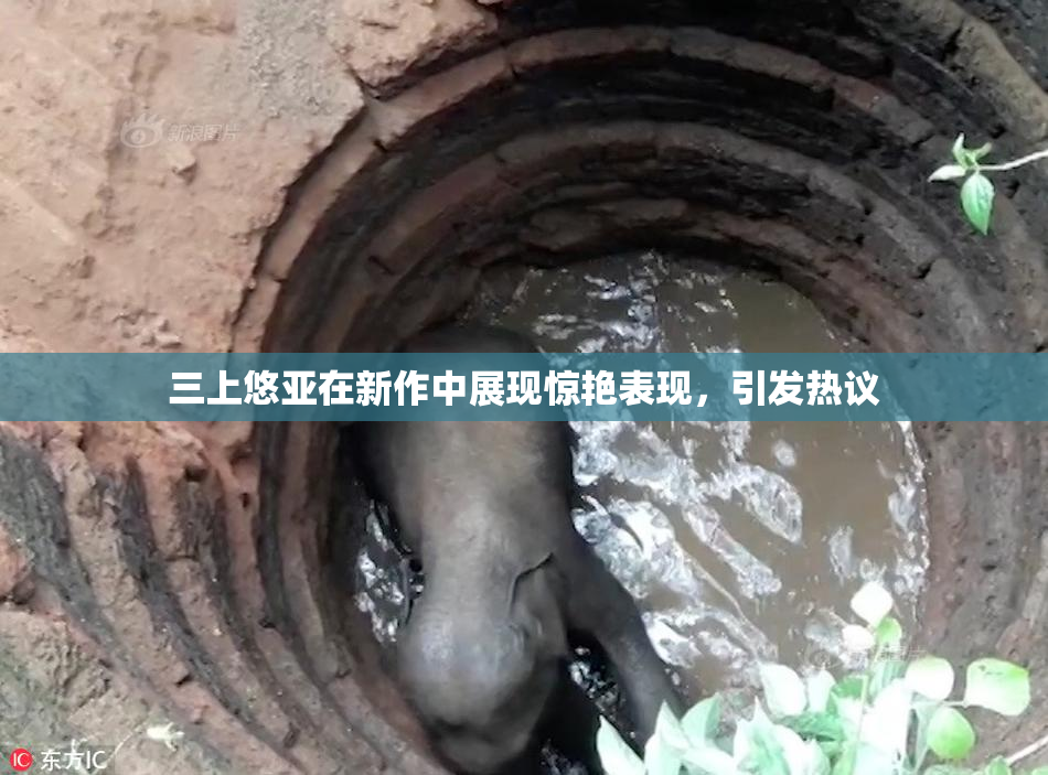 三上悠亚在新作中展现惊艳表现，引发热议
