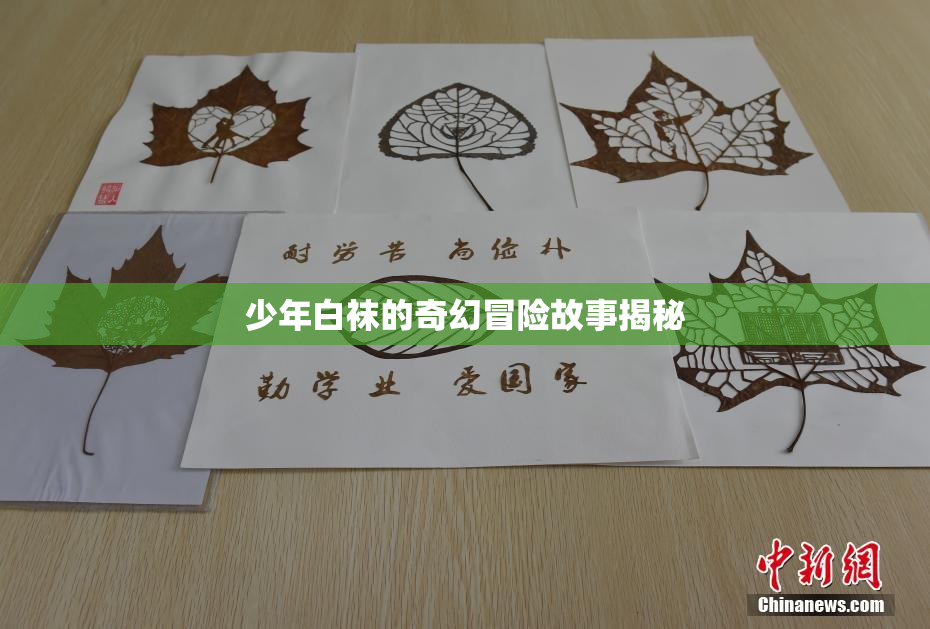 少年白袜的奇幻冒险故事揭秘