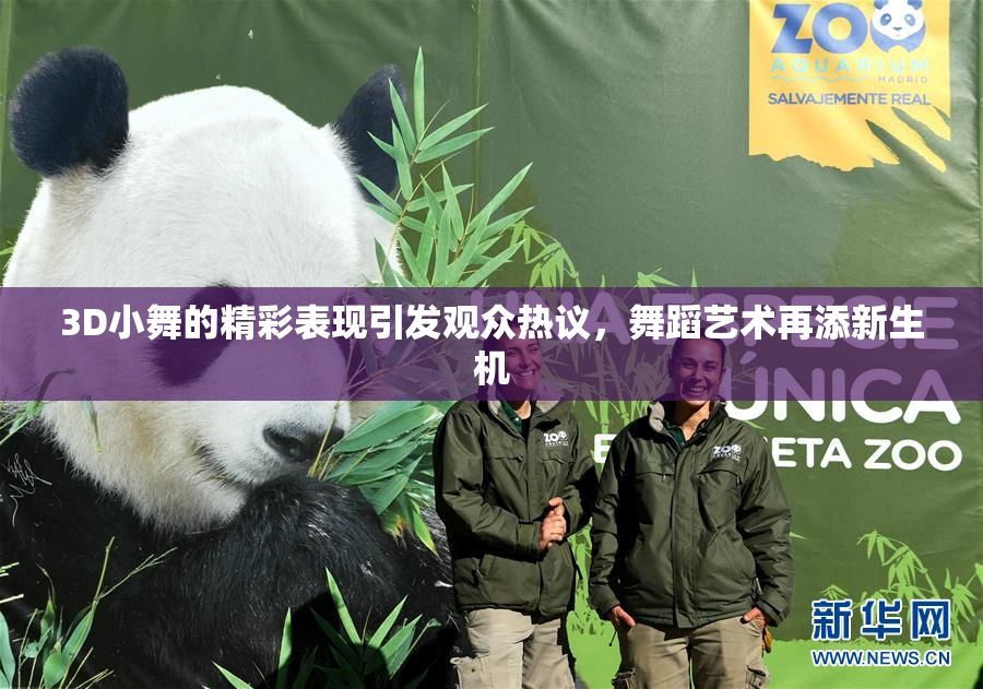 3D小舞的精彩表现引发观众热议，舞蹈艺术再添新生机