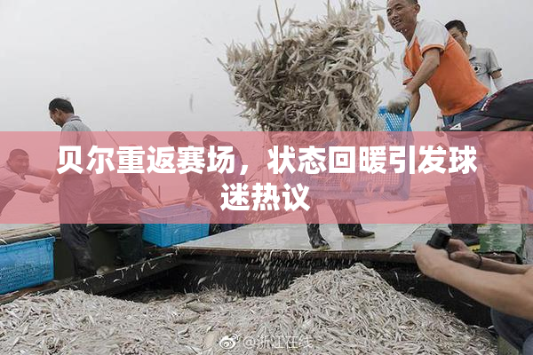 贝尔重返赛场，状态回暖引发球迷热议