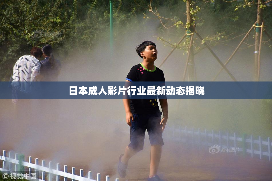 日本成人影片行业最新动态揭晓