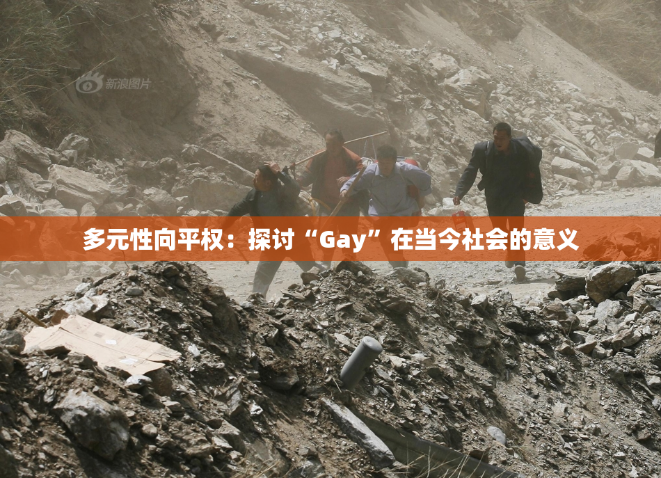多元性向平权：探讨“Gay”在当今社会的意义