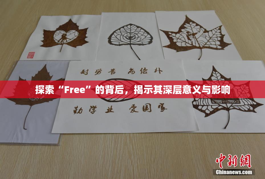 探索“Free”的背后，揭示其深层意义与影响