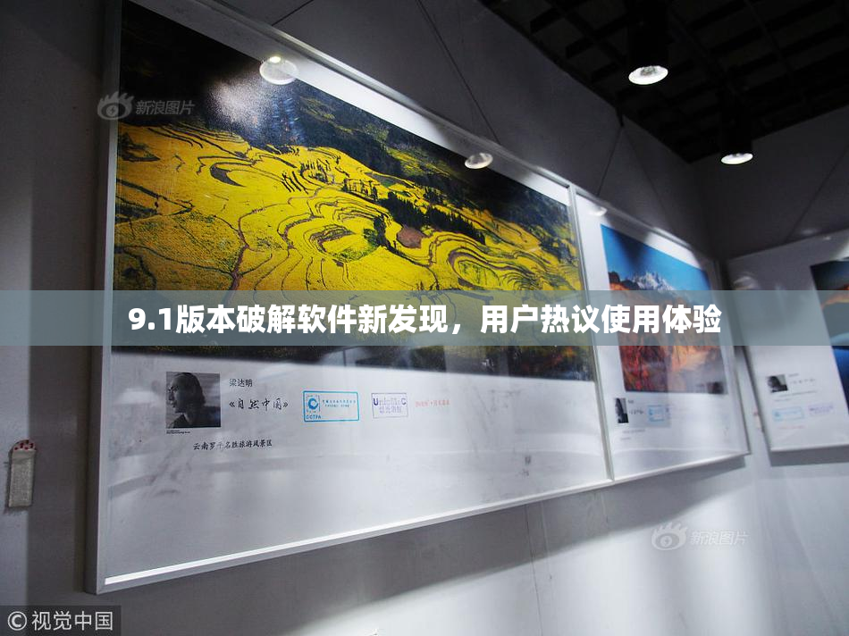 9.1版本破解软件新发现，用户热议使用体验