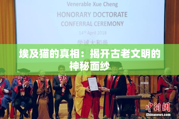 埃及猫的真相：揭开古老文明的神秘面纱