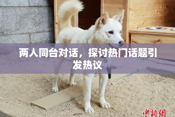 两人同台对话，探讨热门话题引发热议