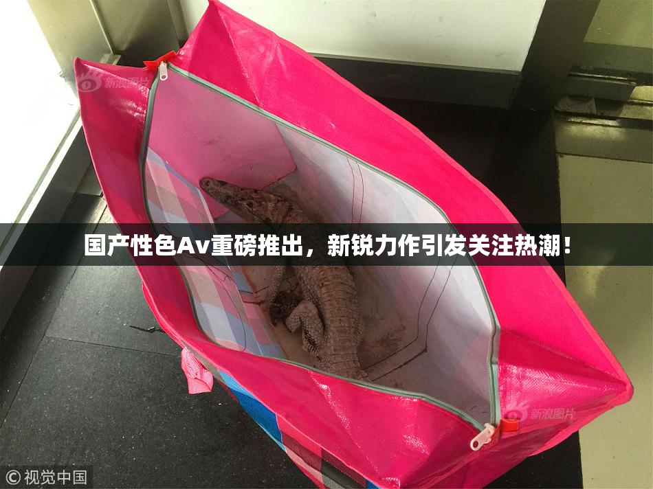 国产性色Av重磅推出，新锐力作引发关注热潮！