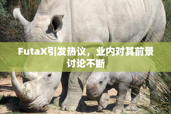 FutaX引发热议，业内对其前景讨论不断