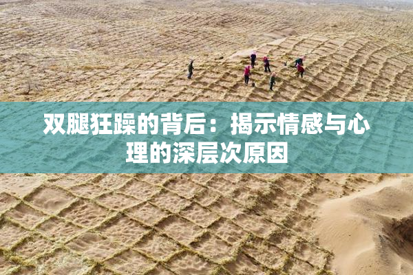 双腿狂躁的背后：揭示情感与心理的深层次原因
