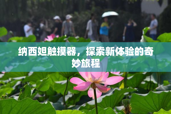 纳西妲触摸器，探索新体验的奇妙旅程