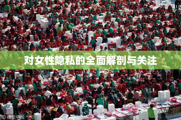 对女性隐私的全面解剖与关注