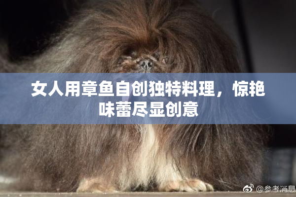 女人用章鱼自创独特料理，惊艳味蕾尽显创意