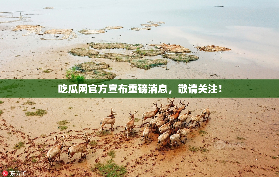 吃瓜网官方宣布重磅消息，敬请关注！