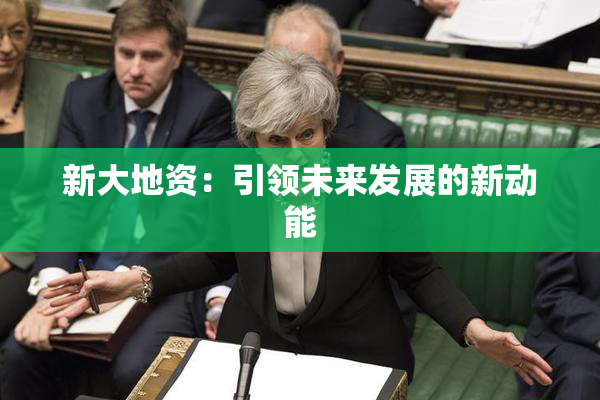 新大地资：引领未来发展的新动能
