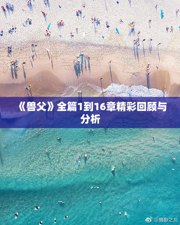 《兽父》全篇1到16章精彩回顾与分析
