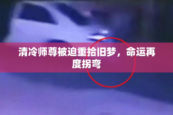 清冷师尊被迫重拾旧梦，命运再度拐弯
