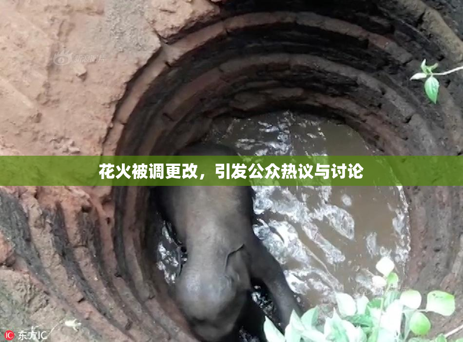 花火被调更改，引发公众热议与讨论