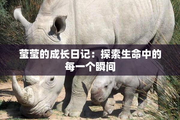 莹莹的成长日记：探索生命中的每一个瞬间