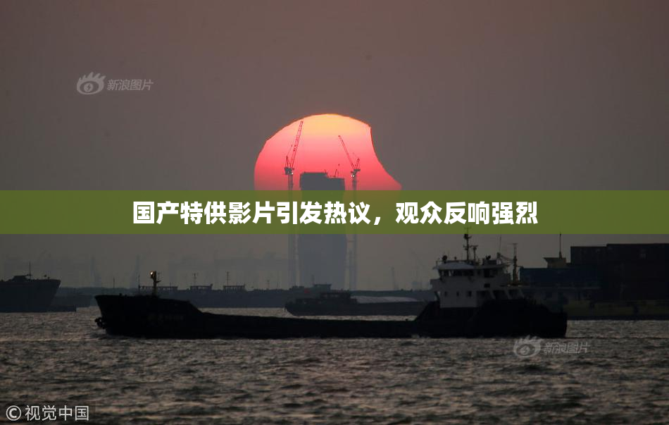 国产特供影片引发热议，观众反响强烈