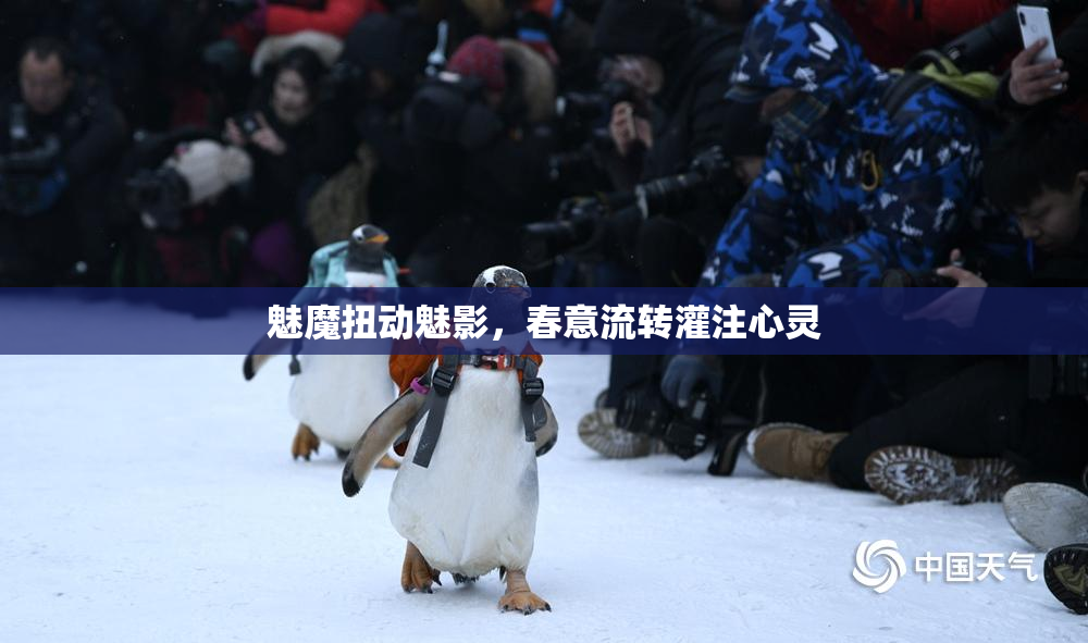 魅魔扭动魅影，春意流转灌注心灵