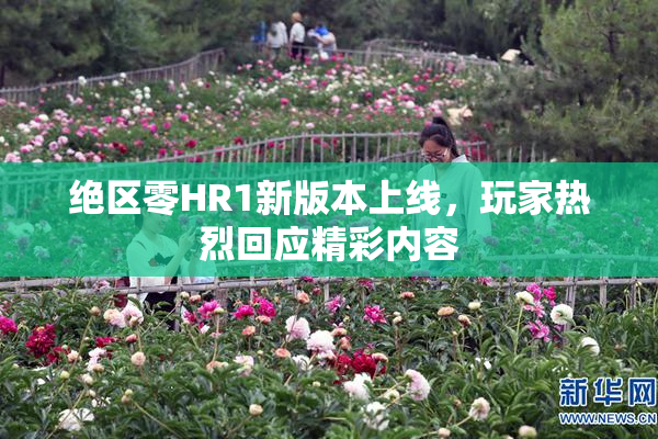 绝区零HR1新版本上线，玩家热烈回应精彩内容