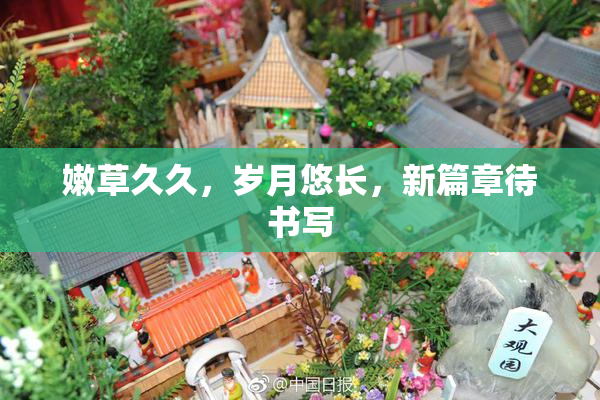 嫩草久久，岁月悠长，新篇章待书写