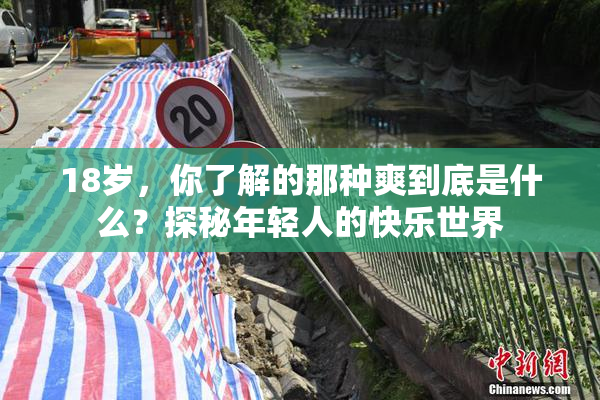 18岁，你了解的那种爽到底是什么？探秘年轻人的快乐世界