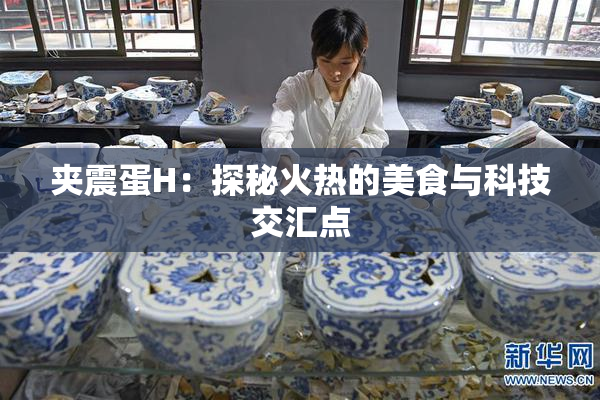 夹震蛋H：探秘火热的美食与科技交汇点
