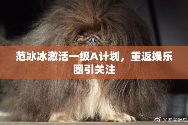 范冰冰激活一级A计划，重返娱乐圈引关注