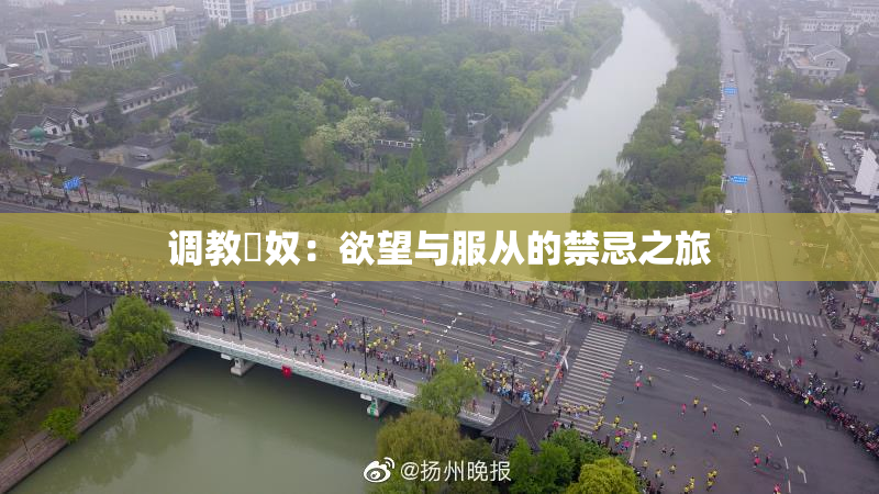 调教婬奴：欲望与服从的禁忌之旅