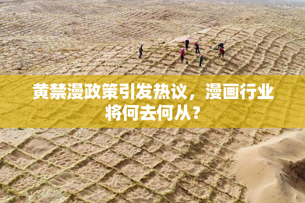 黄禁漫政策引发热议，漫画行业将何去何从？
