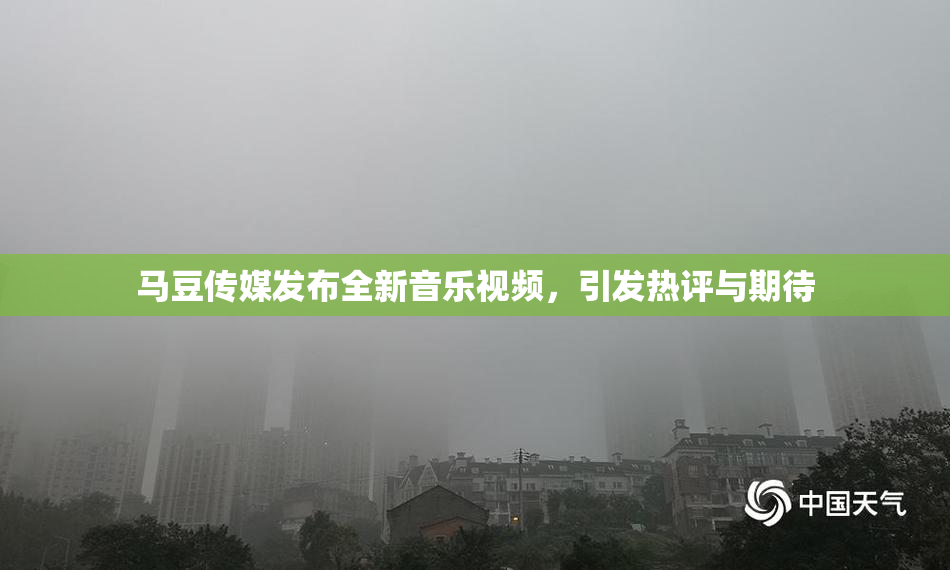 马豆传媒发布全新音乐视频，引发热评与期待