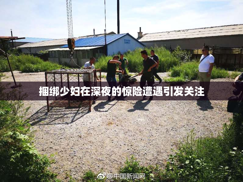 捆绑少妇在深夜的惊险遭遇引发关注