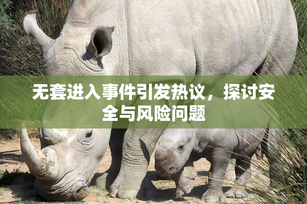 无套进入事件引发热议，探讨安全与风险问题