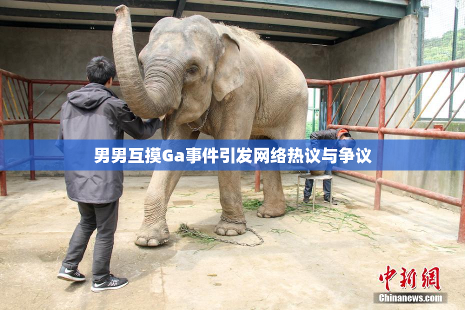 男男互摸Ga事件引发网络热议与争议