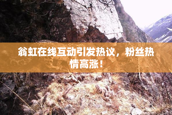 翁虹在线互动引发热议，粉丝热情高涨！