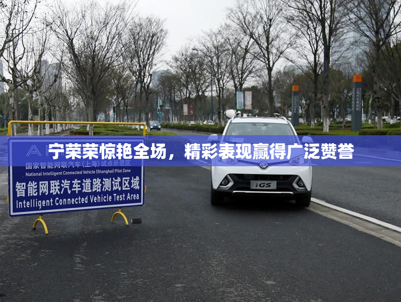 宁荣荣惊艳全场，精彩表现赢得广泛赞誉